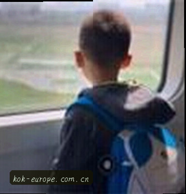 赵刚